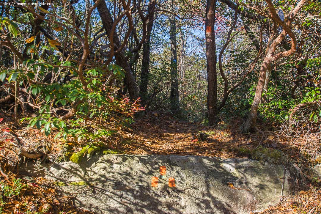 Litchfield Ledge Trail